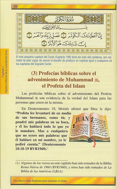 Una Breve Guia Ilustrada Para Entender el Islam (image 7)