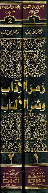 Zahr al-Adab wa Thamar al-Alabab (2 vol) زهر الآداب وثمر الألباب (image 2)
